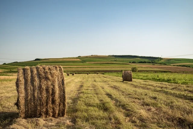 Fields in Agriculture.